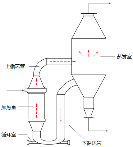 强制循环真空蒸发器