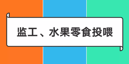 阿里/腾讯/字节跳动爸妈做什么