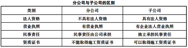 分公司与子公司