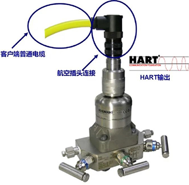 3051S压力变送器的全封装结构