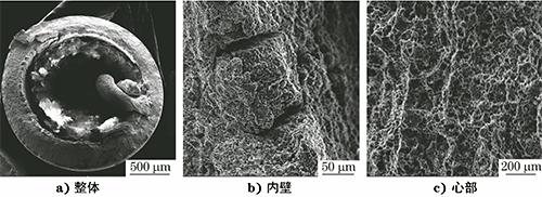 断裂铠装热电偶保护管的微观形貌