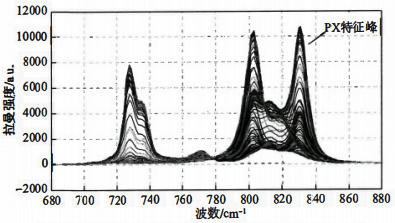 PX浓度不同的96个混合样品的拉曼光谱