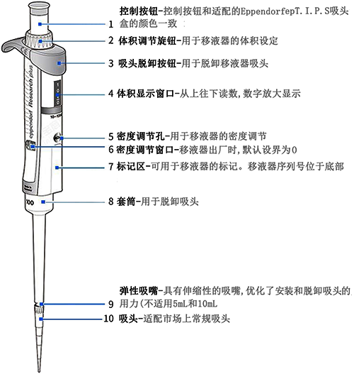 移液枪